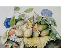 PMEFGJDPE Famous Print Artwork Premium Artwork Plate with Plums Jasmine and Walnuts by Giovanna Garzoni Modern Canvas for Home Decor 60x90cm