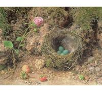 PMEFGJDPE Famous Print Artwork Premium Artwork Still Life with Bird's Nest by William Henry Hunt Modern Canvas for Home Decor 60x90cm