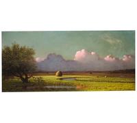 PMEFGJDPE Famous Print Artwork Premium Artwork Sunlight and Shadow the Newbury Marshes by Martins Johnson Heade Modern Canvas for Home Decor 60x90cm