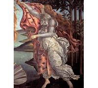 PMEFGJDPE Famous Print Artwork Premium Artwork The birth of venus by Sandro Botticelli Modern Canvas for Home Decor 60x90cm