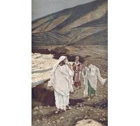 PMEFGJDPE Famous Print Artwork Premium Artwork the Call of Saint Andrew and Saint Calling of Saint Andrew by Jacques Modern Canvas for Home Decor 60x90cm
