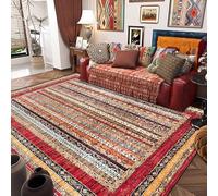 Pmnadfdag Soft Short Pile Area Rug for Living Room Washable Non-Slip Carpet for Bedroom,Dining Room,Kitchen Geometric Ethnic Lines, 120 x 180 cm