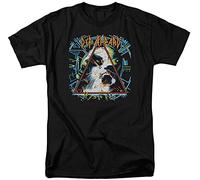 PMNXCVS Def Leppard Hysteria Cover Mens Black T-Shirt (XX-Large)