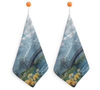 pmoyh Cloud Bridge Flower Kitchen Hand Towel 2Pcs Hand Towel Microfiber Hanging Face Towel for Bathroom 30x30cm