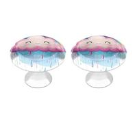pmoyh Rainbow Raindrops Clouds Kitchen Cabinet Knobs Round Dresser Drawer Knobs Pull Handles Bathroom Hardware 2 Pack 2.8x2.1cm