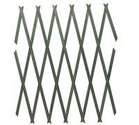 PMS 150X30CM BRASS PINNED WOODEN TRELLIS 3AST.S/WRAPPED COL