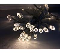 PMS 50 Warm White B/OP LED Lights in COL Box & 24PC Display