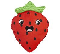 PMS Floating Strawberry Plush Dog Toy, Red Water Resistant Durable Fruit Design Pet Toy for Water and Outdoor Play, 22cm