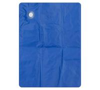 PMS VFM e-Store - Cooling Mat for Pets Ideal for Households With Pets - 60cm X 45cm Blue X 1