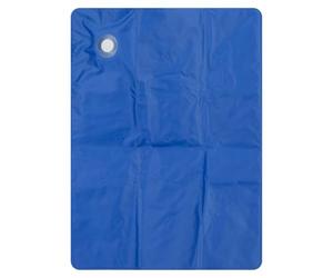 PMS VFM e-Store - Cooling Mat for Pets Ideal for Households With Pets - 60cm X 45cm Blue X 1