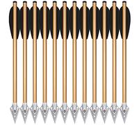 PMSM 6.3" Pistol Crossbow Bolts, Mini Aluminium Crossbow Bolts Arrows with Steel Broadhead Tips for 50-80lbs Pistol Crossbow Precision Target Practicing Shooting and Small Hunting Archery (12PCS Gold)