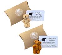 PMTFUMY 2 Pack Pocket Bear Hug Set, Mini Plush Bear Hug Token with Encouragement Cards, Heartfelt Cheer Up Gift for Women Men Friends Family, Thinking of You Get Well Soon Birthday Graduation Gift