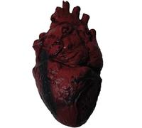 PMU Simulated Body Parts,Learning Resources Anatomy Heart, Classroom Demonstration Tools, Fake Heart, Realistic Heart Halloween, Prank Toys Pkg/1