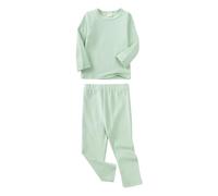 PMUYBHF Boys Hooded Robe Baby Boy & Girls Long Sleeve Shirt Tops Pajamas Pants Set Kids Toddler Sleepwear Outfits Children For Daily Towel Robes (Light Green, 3-4 Years)