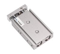 Pneumatic Twin Rod Cylinder with Magnetic Piston Actuator 6mm-32mm Bore