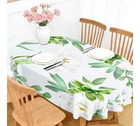 PNH affodils Oval Waterproof Tablecloth 140x260cm, Spring Flowers Extra Large Polyester Table Cover, Wipe Clean Tablecloth for Dining Room Garden Party W&3