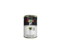 PNJB All Purpose Brilliant White Gloss Tin Paint, Quick Drying, Interior and Exterior, Ideal on Metal, Plastic, Wood, Long-Lasting, 300ml, (1PCS)