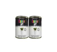 PNJB All Purpose Brilliant White Gloss Tin Paint, Quick Drying, Interior and Exterior, Ideal on Metal, Plastic, Wood, Long-Lasting, 300ml, (2PCS)