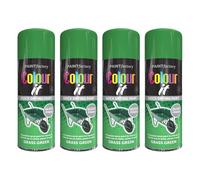 PNJB All Purpose High-Gloss Green Grass Gloss Spray Paint, DIY Projects, Quick Drying Paint, Suitable for Metal, Resistance to Chipping, Peeling, And Fading, Interior & Exterior Use, 250ml (4 Pcs)