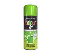 PNJB Lime Green All Purpose Aerosol Spray Paint, Quick Drying Spray, Versatile, Fast Dry And Excellent Coverage For Metal, Wood, Plastic, 400ML (1PCS)