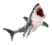 PNSO Everything Dinosaur Patton the Megalodon Shark Model