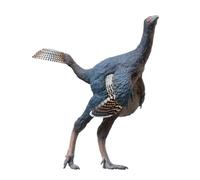 PNSO Prehistoric Dinosaur Models:93 Junlang The Caudipteryx