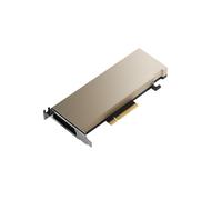 PNY A2 NVIDIA 16 GB GDDR6