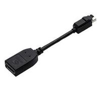 PNY Mini DisplayPort/DisplayPort Black