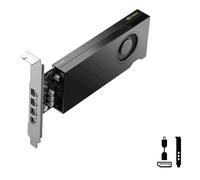 PNY NVIDIA RTX 2000E Ada Generaton LowProfile PCI-Express x16 Gen 4.0