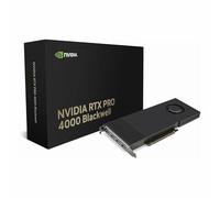 PNY Nvidia RTX Pro 4000 Blackwell 24GB GDDR7 PCI-Express Graphics Card - OEM