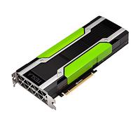PNY TESLA P100 12 GB High Bandwidth Memory Module - Black/Green