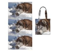 Poadnly Alaskan Malamute, 2 in 1 Packable Towel Bag, Beach Towels with Tote Bag for Travel Holiday Camping