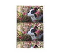 Poadnly Animal Border Collie Cute Dog Pet,Waffle Tea Towels Kitchen Drying Dish Towels Absorbent Dish Cloth 41 x 66 cm