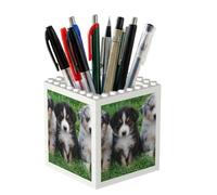 Poadnly Australian Shepherd, Pen Pot Pencil Holder for Office Home School, Compact Desk Organiser for Office Stationery