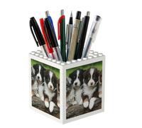 Poadnly Australian Shepherd Small Puppies, Pen Pot Pencil Holder for Office Home School, Compact Desk Organiser for Office Stationery