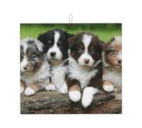 Poadnly Australian Shepherd Small Puppies Quartet, Dish Drying Mats, Sink Mat Absorbent Dish Drainer Mat For Kitchen Counter 41x46 cm