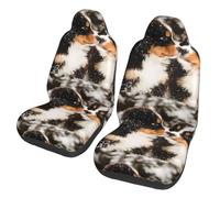 Poadnly Bernese Mountain Dog,Car Seat Cover Front Seat Covers/Protectors For Car 2pcs