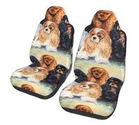 Poadnly Black Golden Cavalier King Charles Spaniel,Car Seat Cover Front Seat Covers/Protectors For Car 2pcs