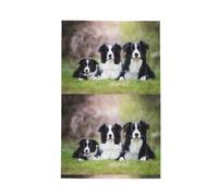 Poadnly Border Collie Family,Waffle Tea Towels Kitchen Drying Dish Towels Absorbent Dish Cloth 41 x 66 cm