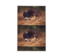 Poadnly Border Collie Puppy Bokeh Brown Border Collie,Waffle Tea Towels Kitchen Drying Dish Towels Absorbent Dish Cloth 41 x 66 cm