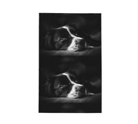 Poadnly Border Collie Puppy Dog,Waffle Tea Towels Kitchen Drying Dish Towels Absorbent Dish Cloth 41 x 66 cm