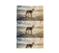 Poadnly Border Collie Sea Sky Dog,Waffle Tea Towels Kitchen Drying Dish Towels Absorbent Dish Cloth 41 x 66 cm