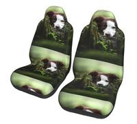 Poadnly Border Collie Stone Sweet Brown Dogs Pets,Car Seat Cover Front Seat Covers/Protectors For Car 2pcs