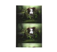 Poadnly Border Collie Stone Sweet Brown Dogs Pets,Waffle Tea Towels Kitchen Drying Dish Towels Absorbent Dish Cloth 41 x 66 cm