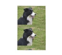 Poadnly Border Collie,Waffle Tea Towels Kitchen Drying Dish Towels Absorbent Dish Cloth 41 x 66 cm