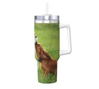 Poadnly Cavalier King Charles Spaniel,40oz Ice Bully Cup with Handle Lid Straw Stainless Steel Mug Car Coffee Cup