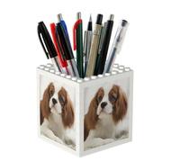 Poadnly Cavalier King Charles Spaniel Brown Spaniel, Pen Pot Pencil Holder for Office Home School, Compact Desk Organiser for Office Stationery