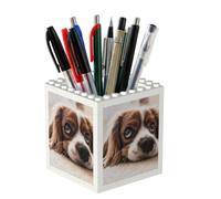 Poadnly Cavalier King Charles Spaniel Cute Dogs Pets, Pen Pot Pencil Holder for Office Home School, Compact Desk Organiser for Office Stationery