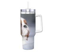 Poadnly Cavalier King Charles Spaniel Face,40oz Ice Bully Cup with Handle Lid Straw Stainless Steel Mug Car Coffee Cup
