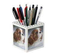 Poadnly Cavalier King Charles Spaniel Face, Pen Pot Pencil Holder for Office Home School, Compact Desk Organiser for Office Stationery
